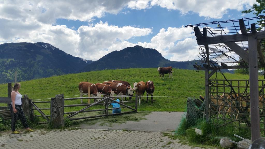 Appartements Berger Kitzbuehel Kültér fotó